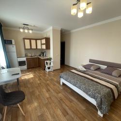 1-комнатные апартаменты стандарт Карла Либкнехта 112