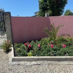 Фото Отель Розовая лагуна