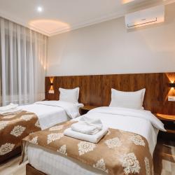 Номер Премиум с 2 односпальными кроватями