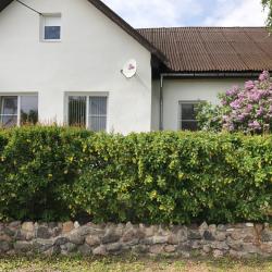 Фото Отель Гостевой Дом Альянс