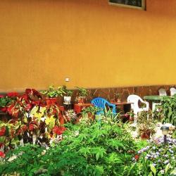 Фото Отель У Веры