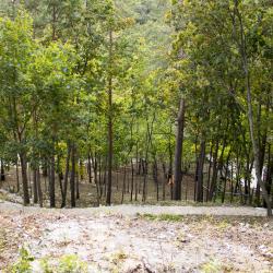 Фото Парк-отель ий