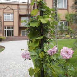 Фото Отель Пан Азиат