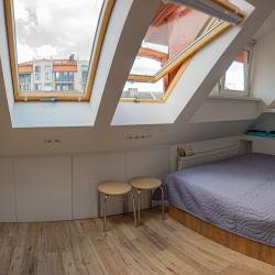 3-комнатные апартаменты люкс (мансарда)