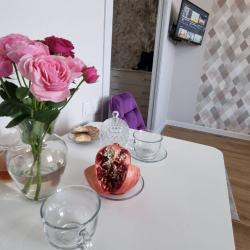 1-комнатные апартаменты улучшенные