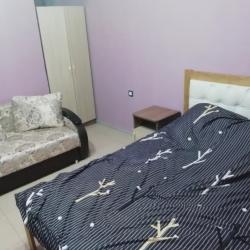 Фото Отель Эмиль