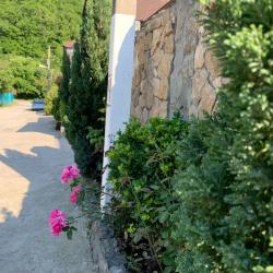 Фото Отель Людмила