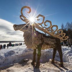 Фото Отель Парк Голубино
