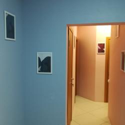фото 21 Travel Inn Серпуховская  (Трэвел Инн Серпуховская)