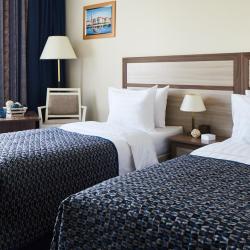 фото 8 Измайлово Дельта (Sky Hotel Group)
