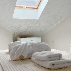 Номер стандарт с 2 односпальными кроватями (мансарда)