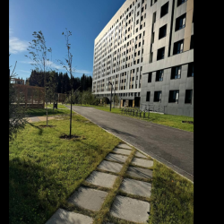 Апартаменты студия 305