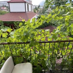 Фото Отель Гостевой дом Триера