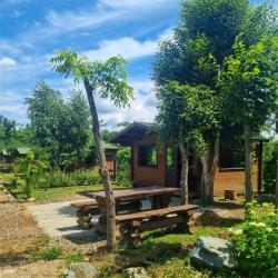 Фото Отель Парк отдыха Лесное озеро