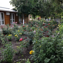 Фото Отель Альтернатива