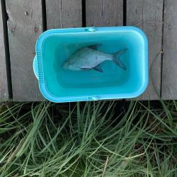 Фото Отель Прибрежный