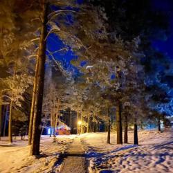 Фото Отель Алсма