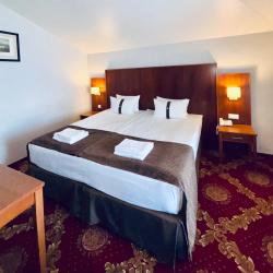 Номер люкс (мансарда)