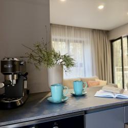 1-комнатные апартаменты люкс