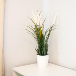 Фото Отель RentPlaza (РентПлаза) на 5-ой просеке 133