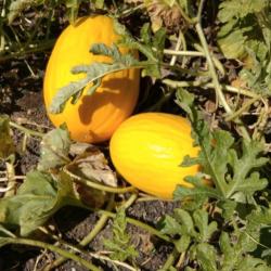 Фото Отель Город-Ок!