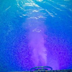 Фото Отель Золотая Лилия