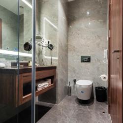 Фото Отель Wellness Hotel and Spa (Велнесс)