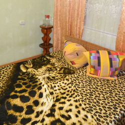 Номер эконом комфорт с 1 двуспальной кроватью