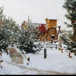 Фото Отель Плетёнка