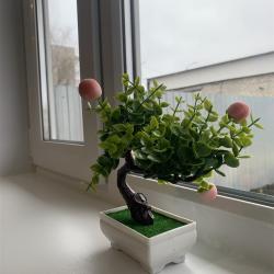 Фото Отель Пол&Пути