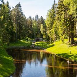 Фото Отель Ohta Ski Resort (Охта ски резорт)