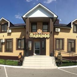 Фото Отель Медведефф