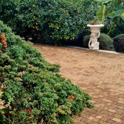 Романов — ec5ef2f668941dfccb485c2588ddca6a