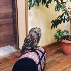 Фото Хостел Дружба