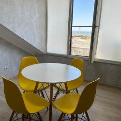 1-комнатные апартаменты стандарт (мансарда)