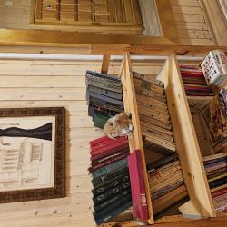 Фото Отель Белый Орел