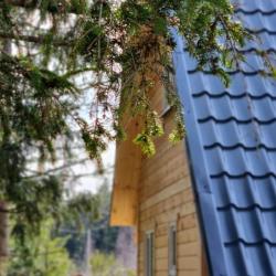 Фото Отель EveGreen (ЭвеГрин)