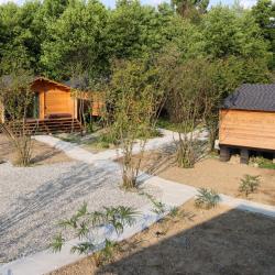 Фото Отель Aqua Resort Dacha (Аква Резорт Дача)