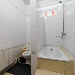 Фото Отель Родина