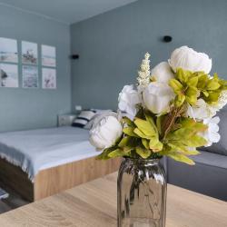 Номер студия стандарт