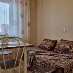 Фото Апартаменты на улице Петровско-Заводская 23