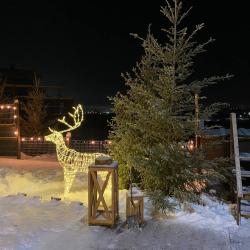 Фото Отель Ель