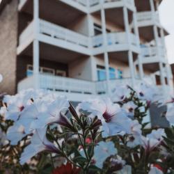 Фото Отель Байкал Хан Ольхон