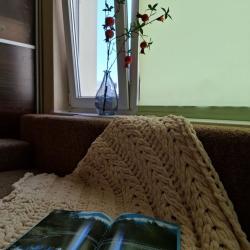 Фото Апартаменты на улице Ларина 18/1