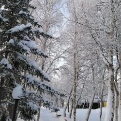 Фото Отель Лапландия