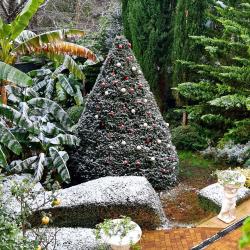 Романов — ed06cae691c9da8052598b30715cb915