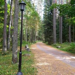 Фото Отель Загородный клуб Дача