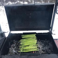 Фото Отель Рузские