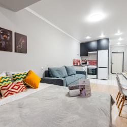 4-местные 1-комнатные апартаменты студия 207