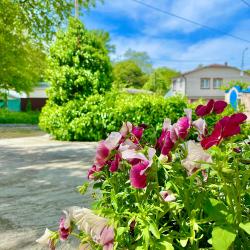 Фото Апартаменты на улице Гайдара